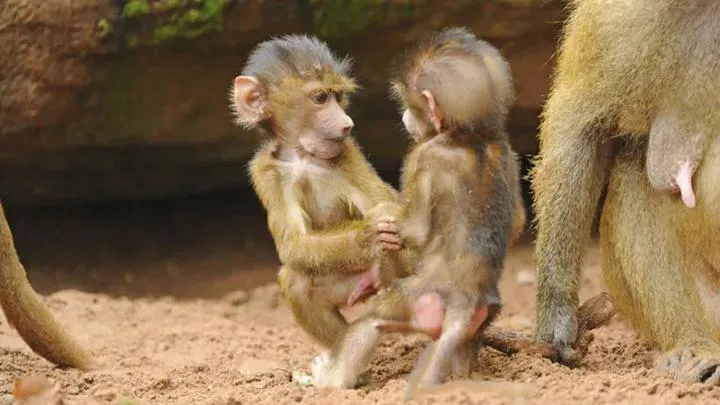 Partie polityczne i ich związki z różnymi ruchami – odkryj tajemnice ich koalicji